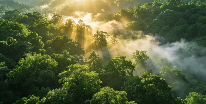 江门肺癌172基因检测图片1